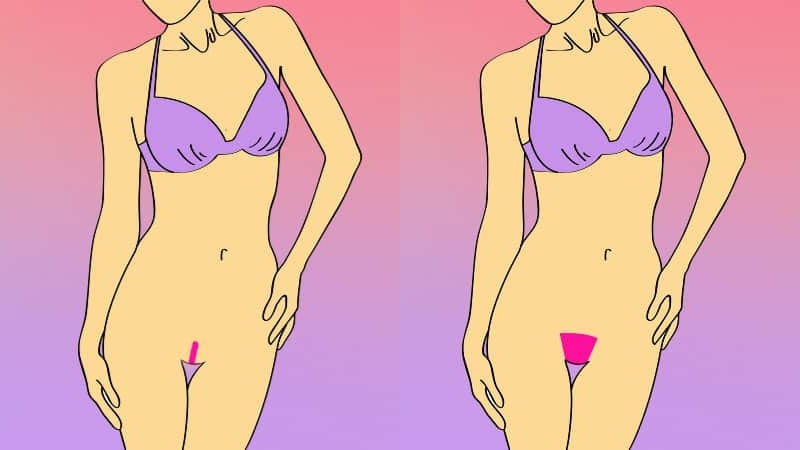 Brazilian Wax Vs Bikini Wax