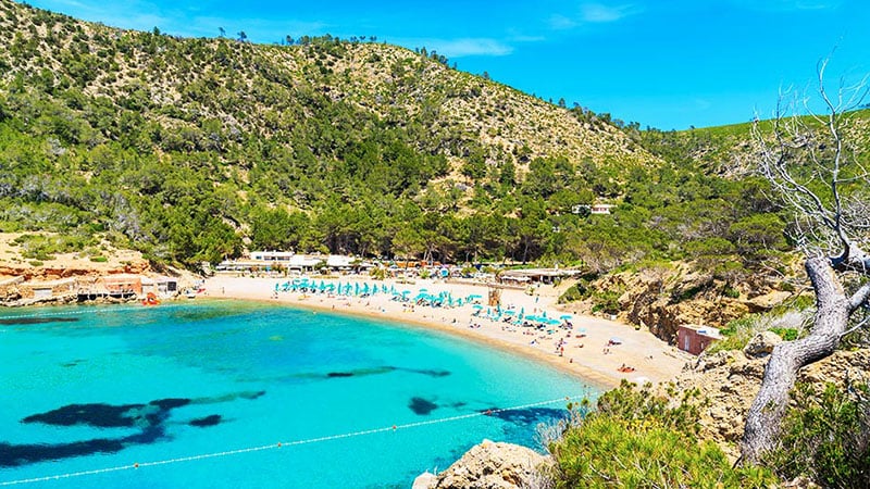 20 Best Beaches in Ibiza You Need to Visit - The Trend Spotter