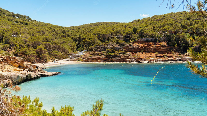 20 Best Beaches in Ibiza You Need to Visit - The Trend Spotter