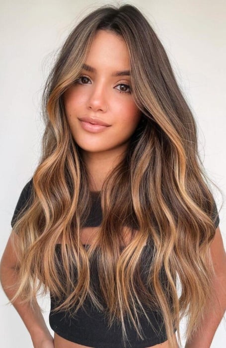 Caramel Blonde Highlights On Brown Hair (1)