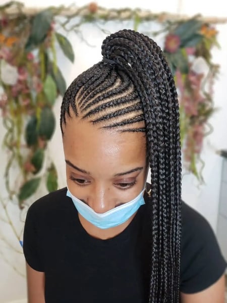 Lemonade Braids Ponytail