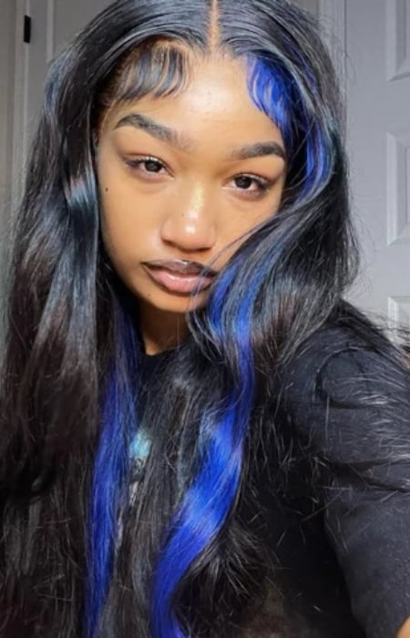 Blue Skunk Stripe Hair