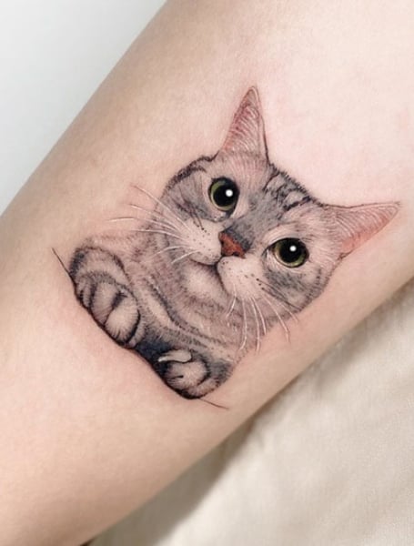 Cat Face Tattoo 