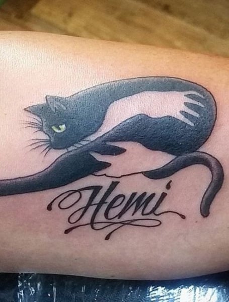 cat hanging on to leg tattoo｜TikTok Search