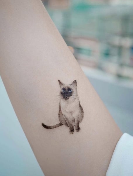 Siamese Cat Tattoo