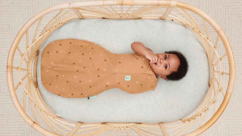 Ergo Pouch Cocoon Swaddle Bag