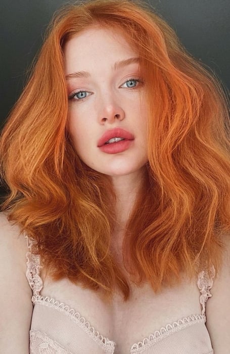 Ginger Orange (1)