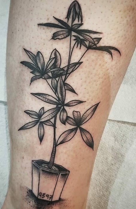 Money Tree Tattoos