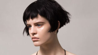 Pixie Bob