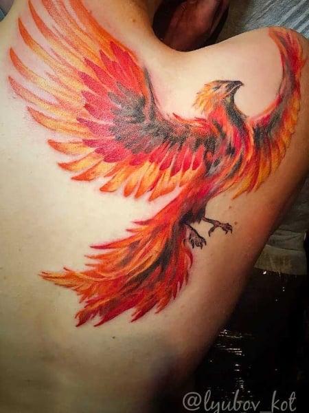 NH Tattoo  A beautiful Celtic phoenix done by jaesuntattoos  Facebook