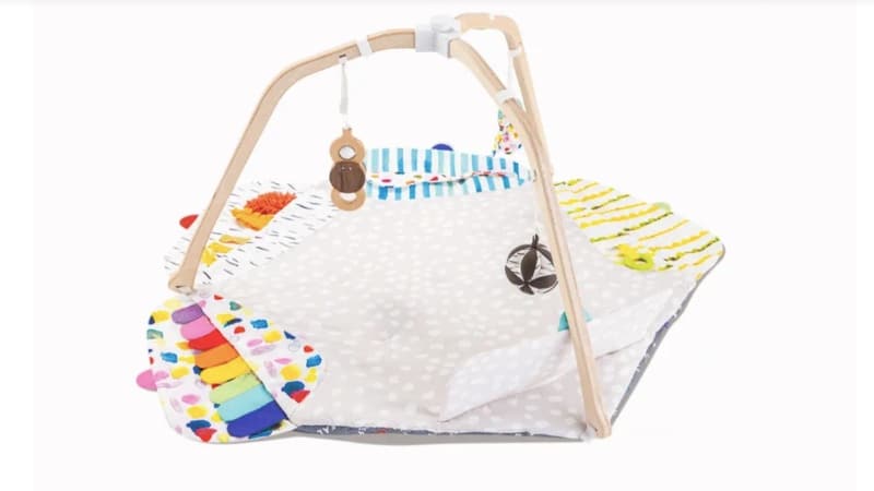 The Play Gym