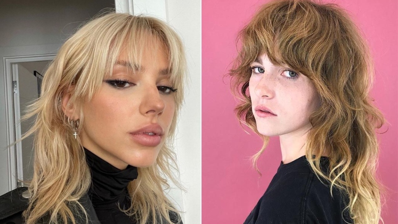 Wolf Cut Vs Shag
