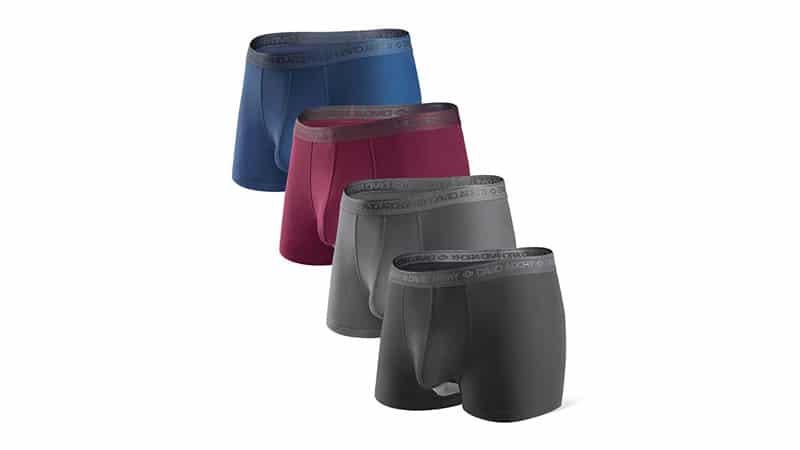 David Archy Men's 4 Pack Micro Modal Separate Pouch Briefs With Fly