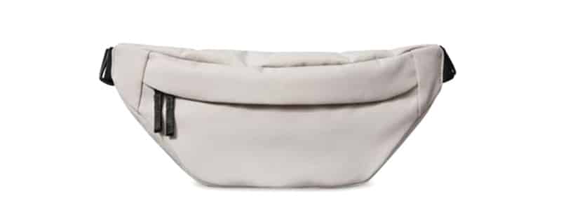Everlane Renew Transit Fanny Pack