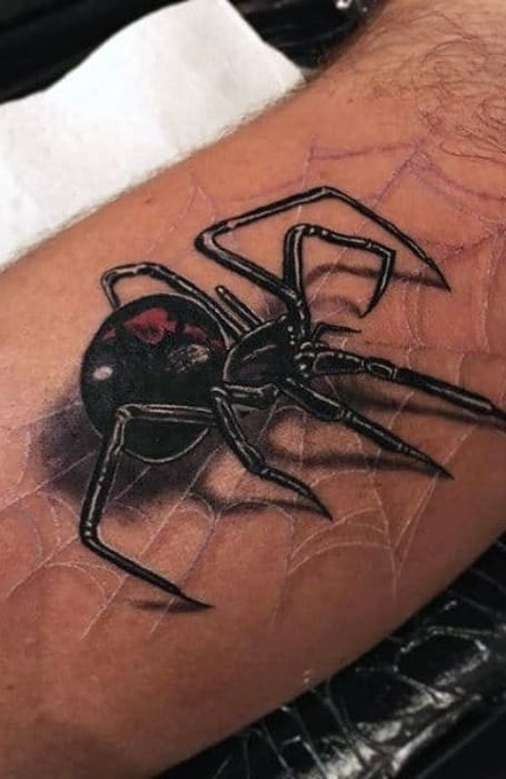 Spider Tattoo