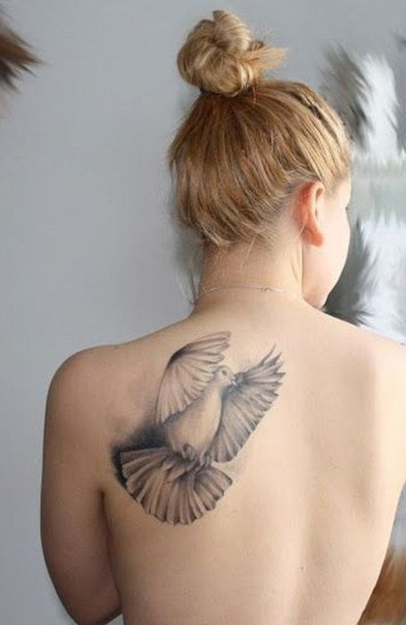 Dove Tattoo 1