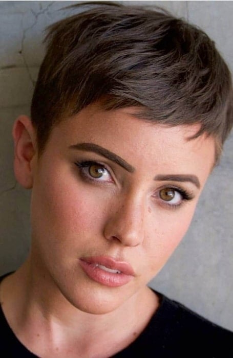 Short Brown Pixie