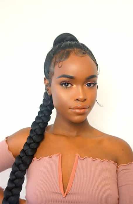 Sleek Jumbo Braid Ponytail