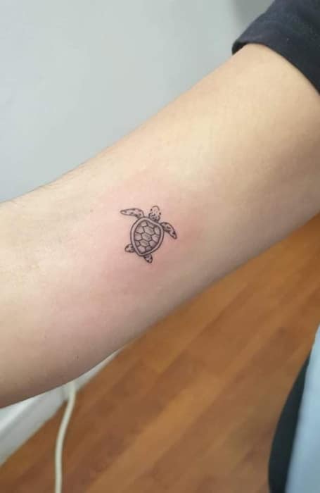 Tiny Turtle Tattoos