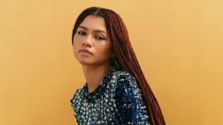 Micro Braids Hairstyles