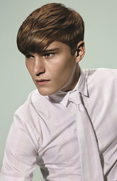 Chestnut Brown Hair Color Men