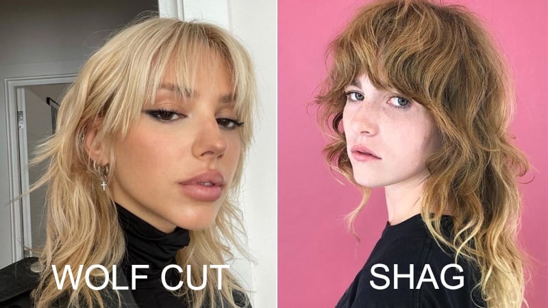 Wolf Cut Vs Shag