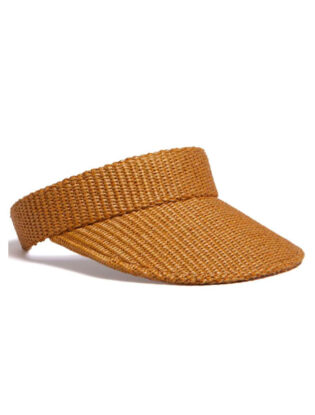 Visor