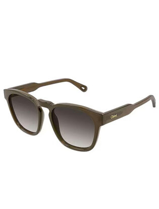 Wayfarers