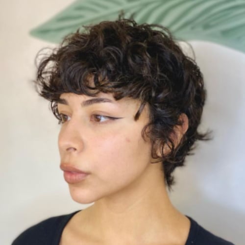 Curly Pixie Cut For Thick Hair