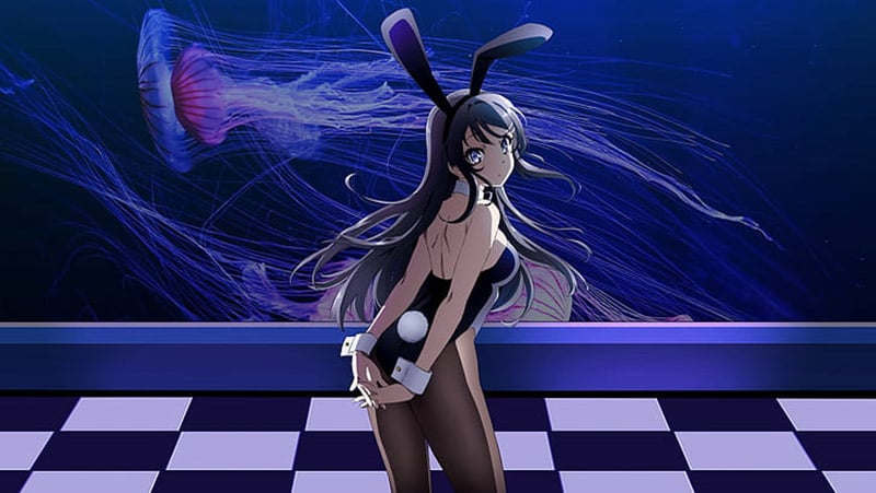 Mai Sakurajima Bunny Girl Senpai Hottest Anime Characters