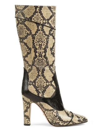 Funky Snakeskin