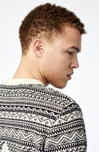Men's Afro & Black Hairstyles