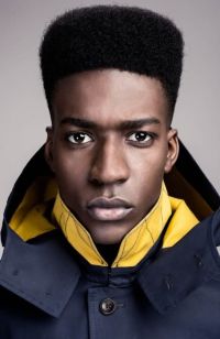 Men's Afro & Black Hairstyles