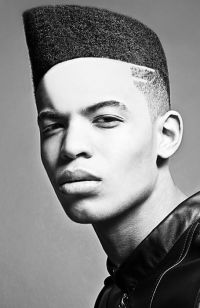 Men's Afro & Black Hairstyles