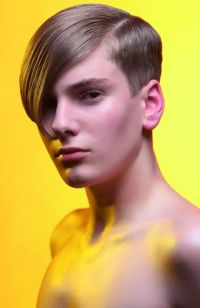 Mens short hairstyles and haircuts (662)