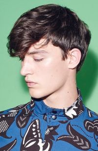 Mens short hairstyles and haircuts (662)