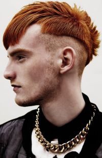 Mens short hairstyles and haircuts (662)
