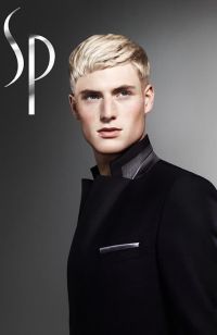 Mens short hairstyles and haircuts (662)
