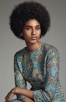 Womens Afro Hairstyles